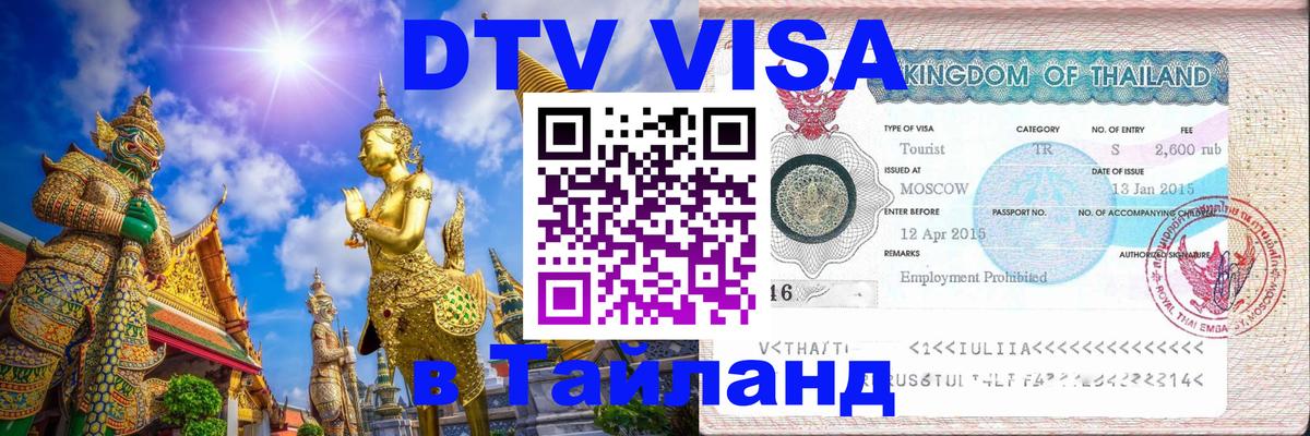 Оформление DTV визы под ключ: стоимость и тарифы, только загранпаспорт - Кишинёв 